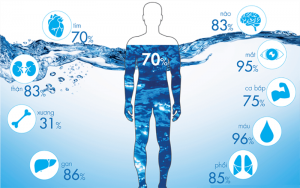 Ô nhiễm môi trường nước -Cơ thể con người chiếm 70% là nước